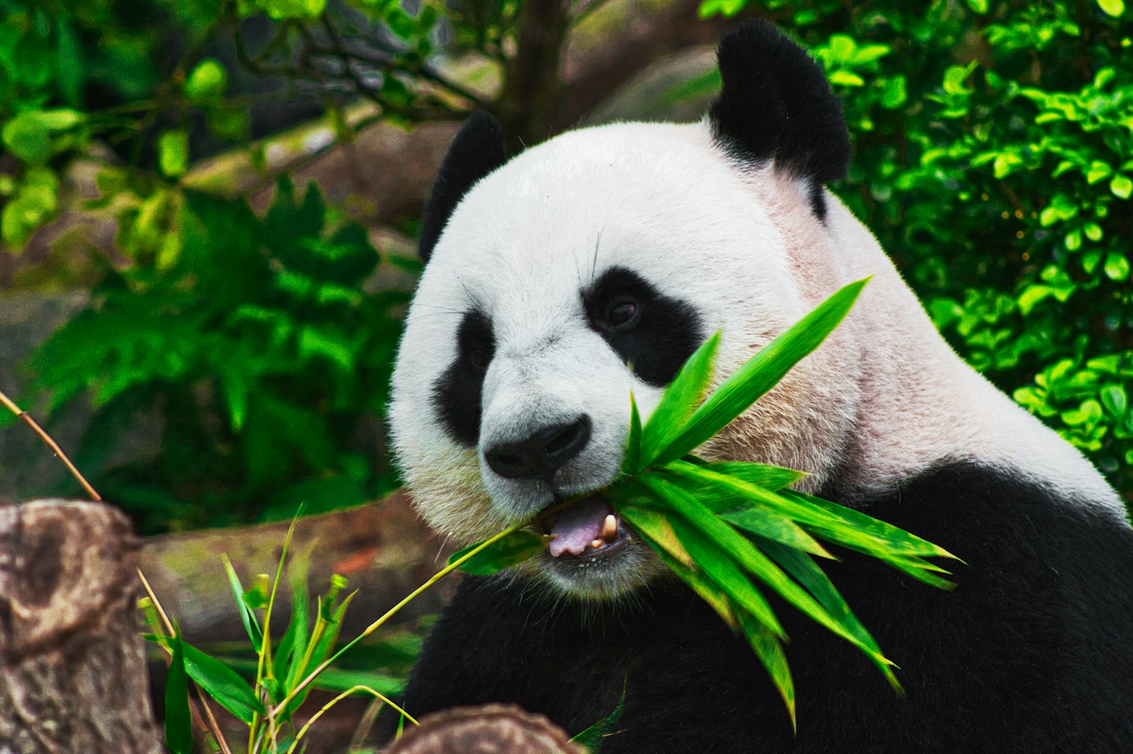 Tout ce qu&rsquo;il faut savoir sur le programme de parrainage de la plateforme de crypto Bitpanda